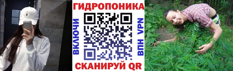 Продажа наркотиков Старица Конопля Галлюциногенные грибы Меф мяу мяу COCAIN blacksprut вход Амфетамин Alpha PVP