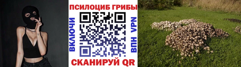 Галлюциногенные грибы GOLDEN TEACHER  цены наркотик  Старица 